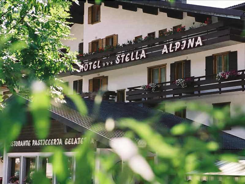 Hotel Stella Alpina Falcade Bagian luar foto
