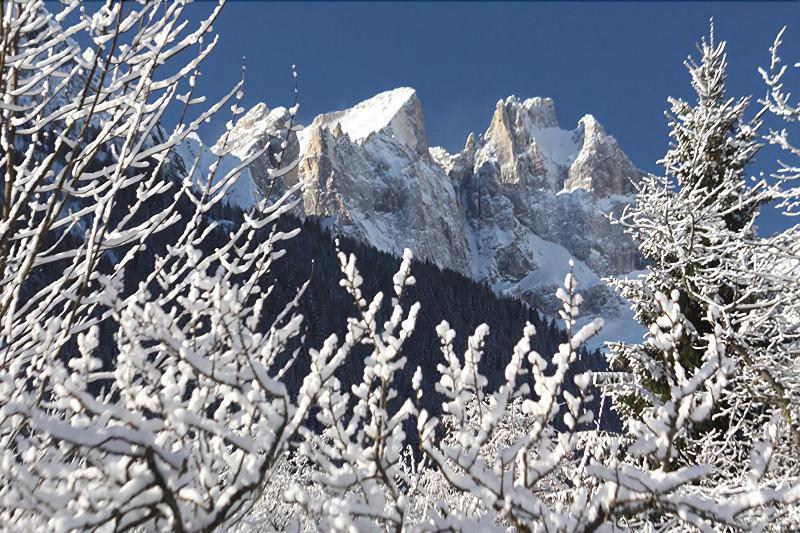 Hotel Stella Alpina Falcade Bagian luar foto