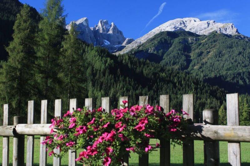 Hotel Stella Alpina Falcade Bagian luar foto