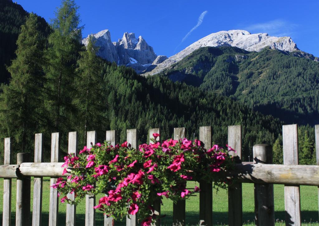Hotel Stella Alpina Falcade Bagian luar foto