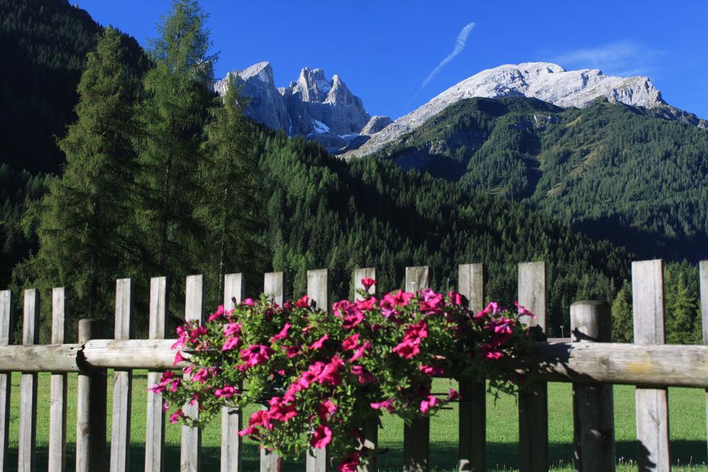 Hotel Stella Alpina Falcade Bagian luar foto
